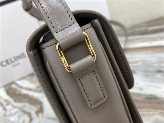 Celine Teen Triomphe Bag In Shiny Calfskin Grey Color