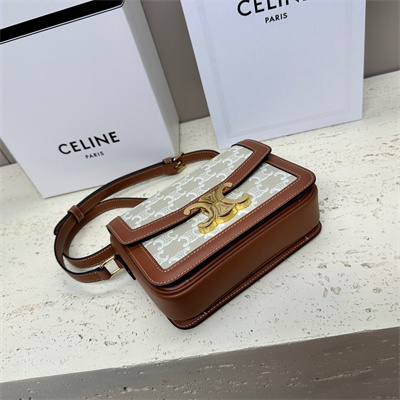 Celine Teen Triomphe Bag In Triomphe Canvas and Calfskin Grege
