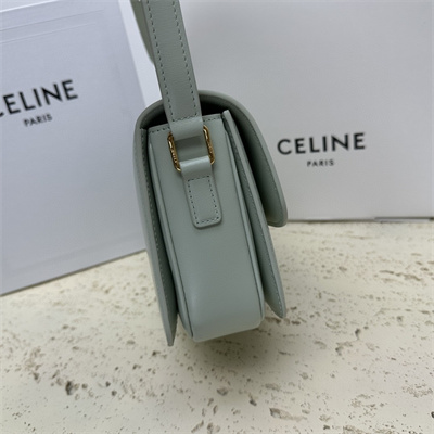 Celine Teen Triomphe Bag In Shiny Calfskin Pale Green Color