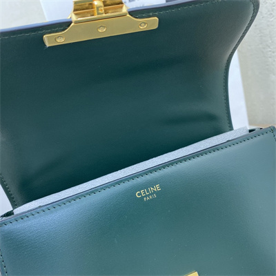 Celine Teen Triomphe Bag In Shiny Calfskin Amazone Color
