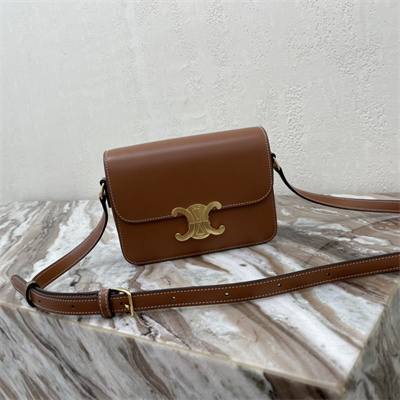 Celine Teen Triomphe Bag In Shiny Calfskin Brown Color