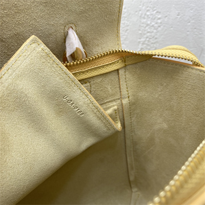 Celine Micro Belt Bag In Yellow Grained Calfskin