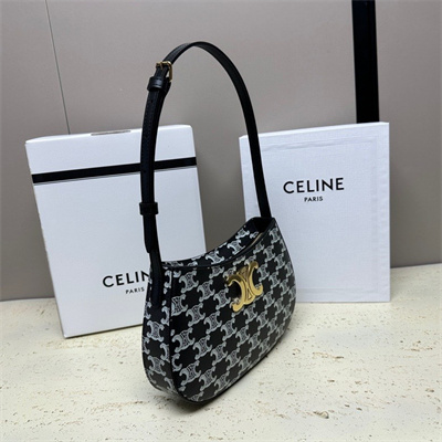 Celine Medium TILLY Bag In Triomphe Canvas and Calfskin Black and White
