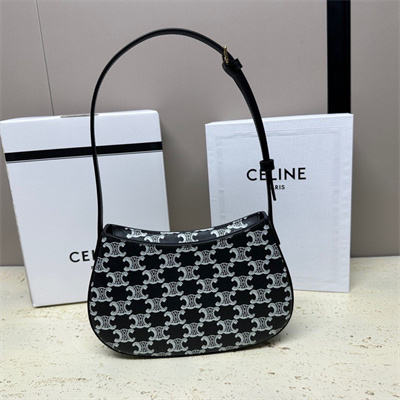 Celine Medium TILLY Bag In Triomphe Canvas and Calfskin Black and White