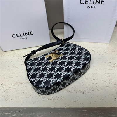 Celine Medium TILLY Bag In Triomphe Canvas and Calfskin Black and White