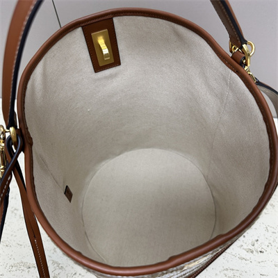 Celine Bucket 16 Bag In Textile With Celine Jacquard Multicolor