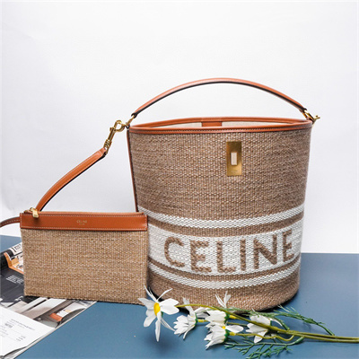 Celine Bucket 16 Bag In Textile With Celine Jacquard Brown Multicolor