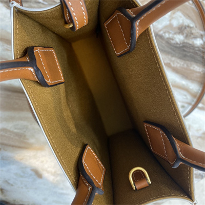 Celine Mini Vertical Cabas In Triomphe Canvas And Calfskin With Celine Print White