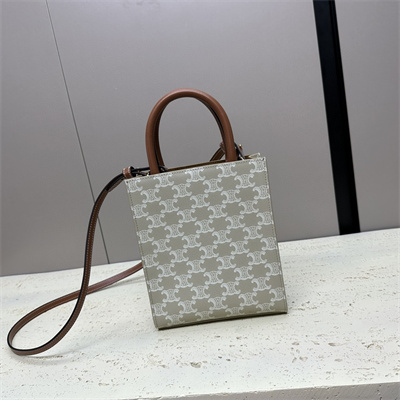 Celine Mini Vertical Cabas In Triomphe Canvas And Calfskin Greige