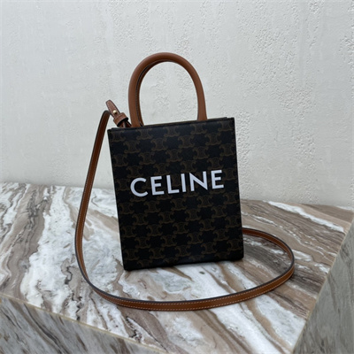 Celine Mini Vertical Cabas In Triomphe Canvas And Calfskin Tan With Celine  Print