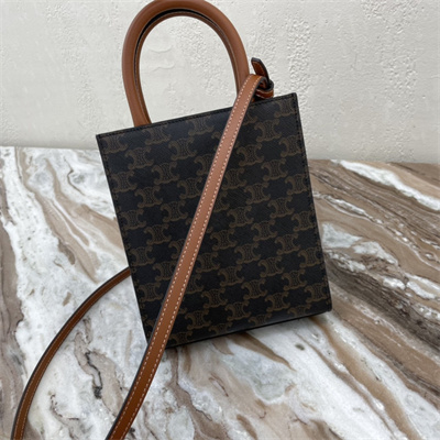 Celine Mini Vertical Cabas In Triomphe Canvas And Calfskin Tan With Celine  Print