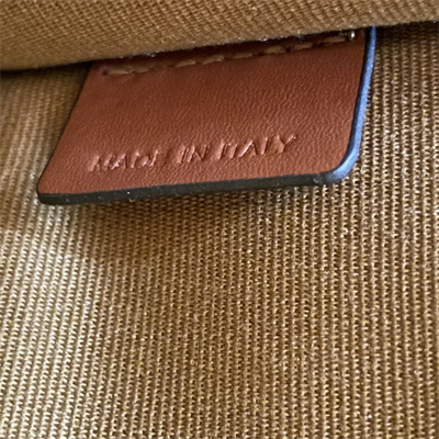 Celine Mini Vertical Cabas In Triomphe Canvas And Calfskin Tan With Celine  Print