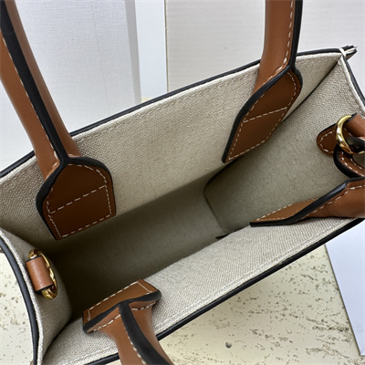 Celine Mini Vertical Cabas In Textile With  Celine All Over Print Nature/Tan