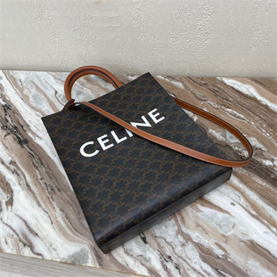 Celine Small Vertical Cabas In Triomphe Canvas And Calfskin With Celine Print Tan