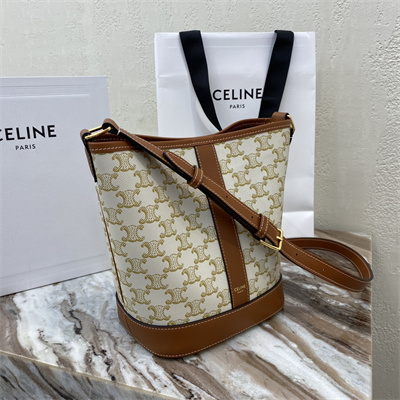 Celine SMALL Bucket In Triomphe Canvas And Calfskin White