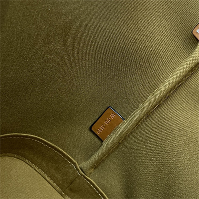 Celine SMALL Bucket In Triomphe Canvas And Calfskin White