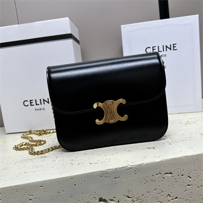 Celine Medium College Bag In Shiny Calfskin Black