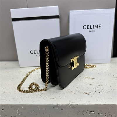 Celine Medium College Bag In Shiny Calfskin Black