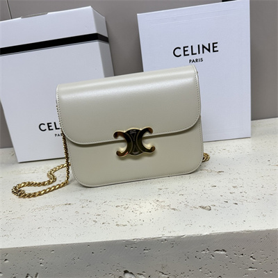 Celine Medium College Bag In Shiny Calfskin Light Stone