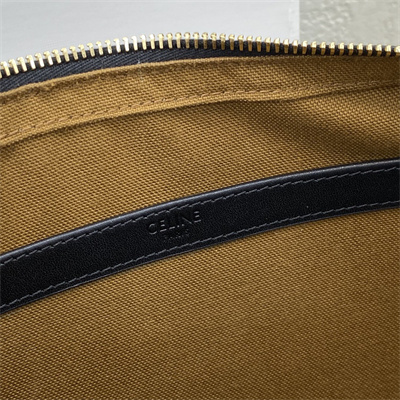 Celine Medium Messenger Bag In Triomphe Canvas With Celine Print