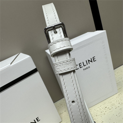 Celine Medium TILLY Bag In Shiny Calfskin White