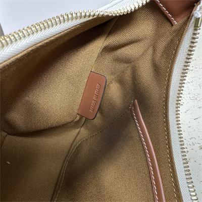 Celine Medium AVA Triomphe Bag In Triomphe Canvas and Calfskin White