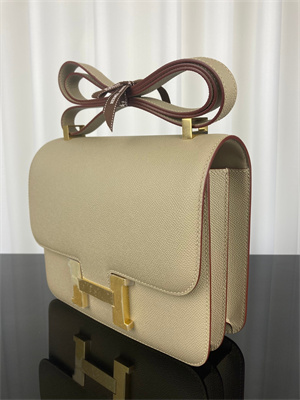 Constance Bag Epsom Leather 24CM Gold/Silver Tone Metal In Trench Color HS