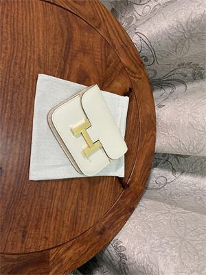 Constance SLIM Wallet With Strap Epsom Leather Gold Tone Metal In Craie Color HS