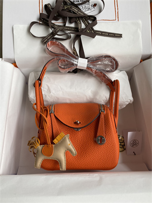 Lindy Mini Bag Taurillon Clemence Leather Gold/Silver Tone Metal In Orange Color HS