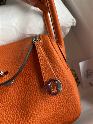 Lindy Mini Bag Taurillon Clemence Leather Gold/Silver Tone Metal In Orange Color HS