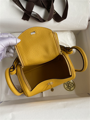 Lindy Mini Bag Taurillon Clemence Leather Gold/Silver Tone Metal In Jaune Amber Color HS