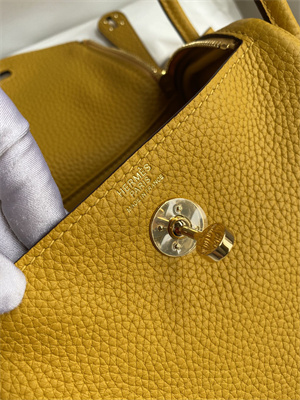 Lindy Mini Bag Taurillon Clemence Leather Gold/Silver Tone Metal In Jaune Amber Color HS