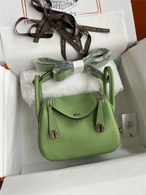 Lindy Mini Bag Taurillon Clemence Leather Gold/Silver Tone Metal In Vert Criquet Color HS