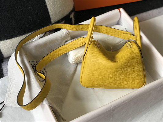Lindy Mini Bag Calfskin Leather Gold/Silver Tone Metal In Jaune Amber Color