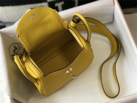 Lindy Mini Bag Calfskin Leather Gold/Silver Tone Metal In Jaune Amber Color