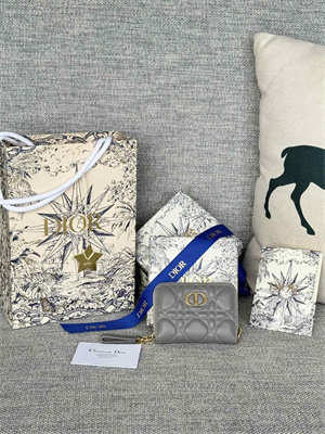 CD Caro Zippy Card Holder Supple Cannage Calfskin Grey Color S5034