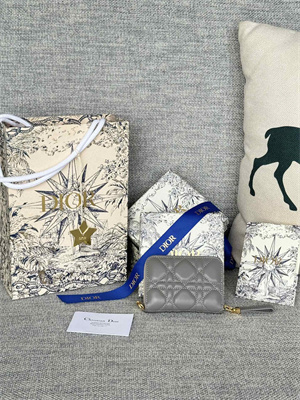 CD Caro Zippy Card Holder Supple Cannage Calfskin Grey Color S5034