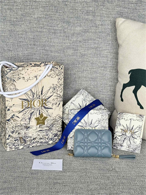 CD Caro Zippy Card Holder Supple Cannage Calfskin Blue Color S5034