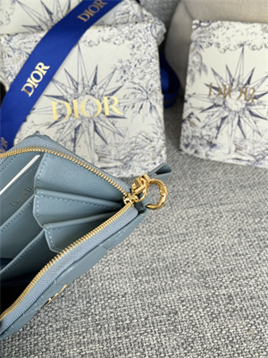 CD Caro Zippy Card Holder Supple Cannage Calfskin Blue Color S5034