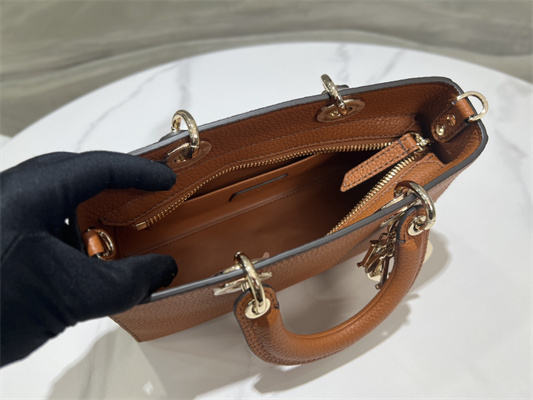 CD Lady D-Sire Small My ABCDior Bag Bull Leather Brown