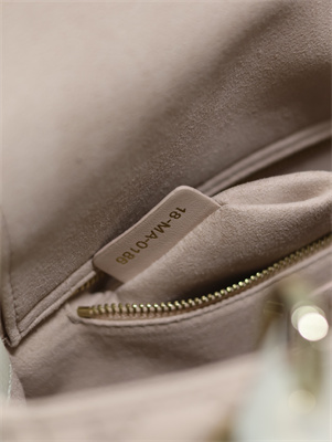 CD Medium Lady Di.or Bag Two Tones Cannage Lambskin Gold Tone Metal Pink and Latte