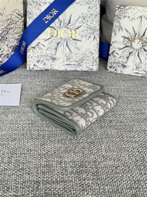 CD 30 Montaigne Trifold Wallet Gray Dior Oblique Jacquard