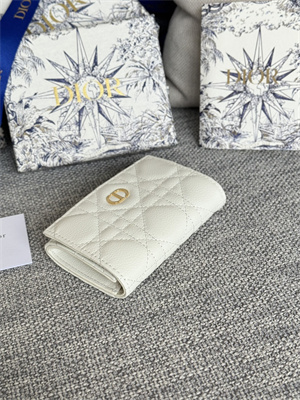 CD Caro Glycine Wallet Supple Cannage Calfskin S5132