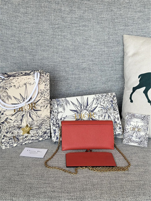 CD Long Saddle Wallet With Chain Grained Calfskin Orange Red