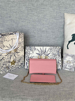 CD Long Saddle Wallet With Chain Grained Calfskin Pink