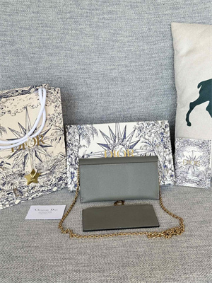 CD Long Saddle Wallet With Chain Grained Calfskin Grey