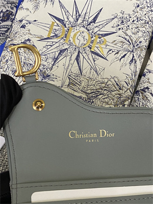 CD Saddle Card Holder Gray Dior Oblique Jacquard S5610
