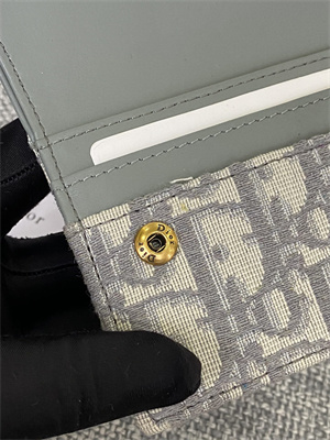 CD Saddle Card Holder Gray Dior Oblique Jacquard S5610