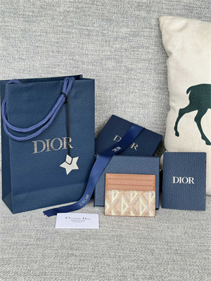 CD Card Holder Brown CD Diamond Canvas