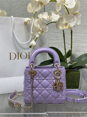 CD Mini Lady Dior Bag Cannage Lambskin Gold Tone Metal Lt Purple